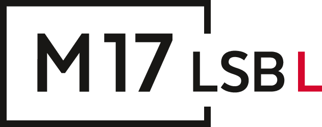 M17LSB L: Combination of laser welding and wire bonding